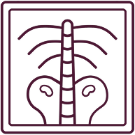 Cancer and risk to your bones